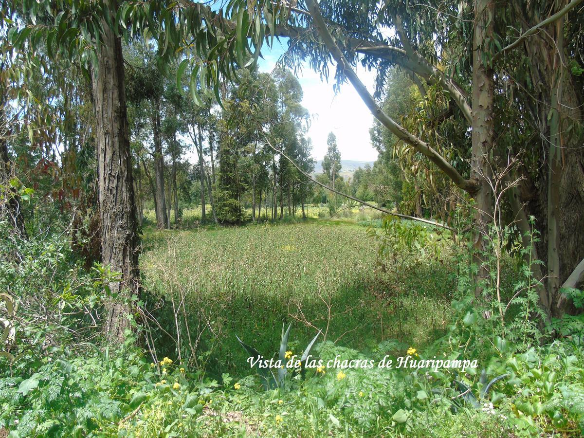 Pousada Villa Huaripampa Jauja Exterior photo